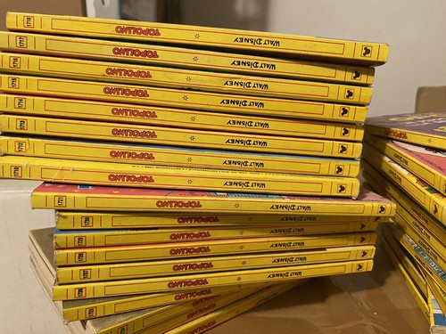 Topolino lotto 100 - lotto,